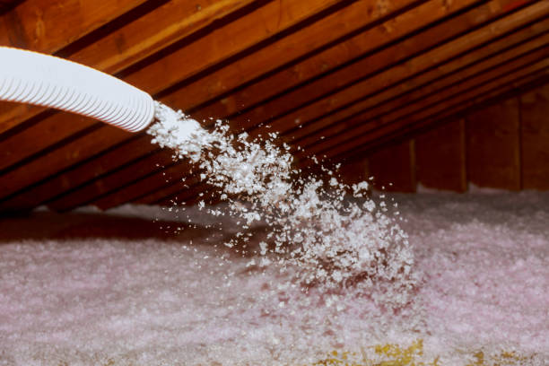 Best Commercial Insulation in Redlands, CA