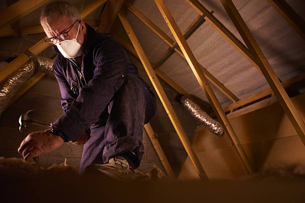 Best Geographic-Specific Insulation Services in Redlands, CA